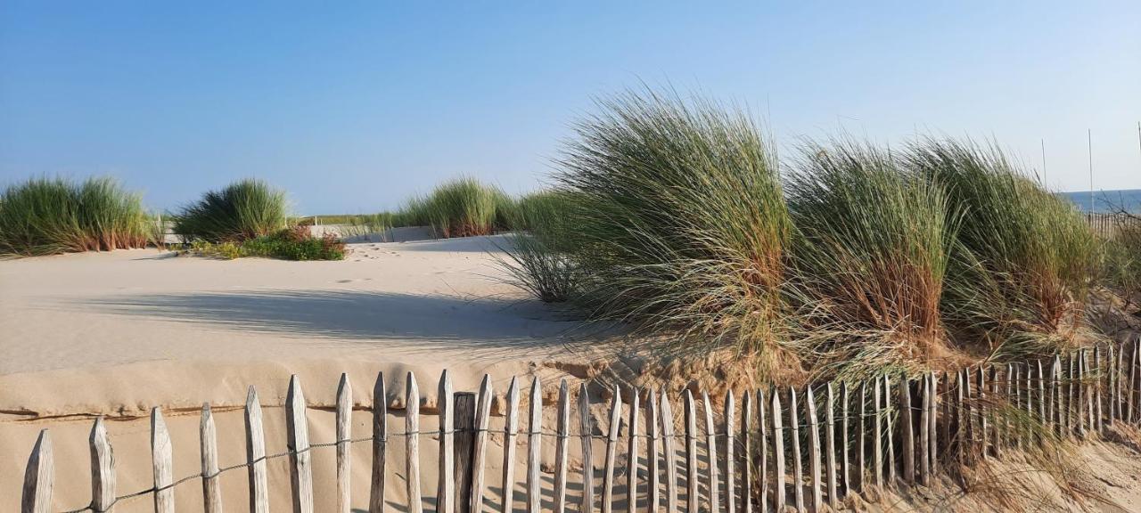 Maison Sur Le Bassin D'Arcachon La Teste-de-Buch Dış mekan fotoğraf